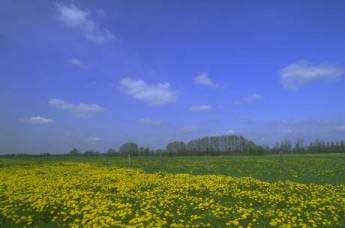 Der Verein f�r Umweltrecht