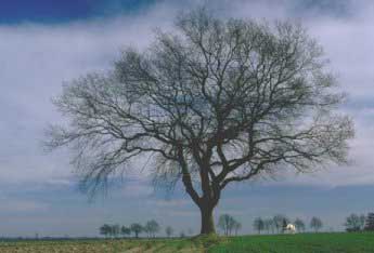 Der Verein f�r Umweltrecht